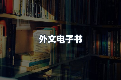 外文电子书