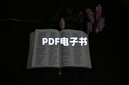 PDF电子书